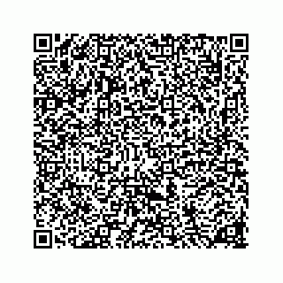 vCard 78136333099