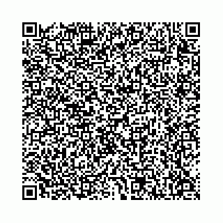 vCard 78136333307