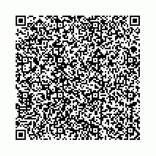 vCard 78136333311