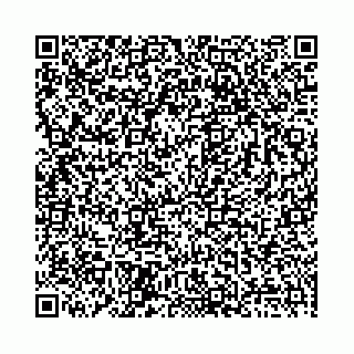 vCard 78136333312