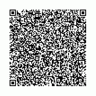 vCard 78136333313
