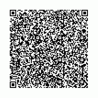 vCard 78136333317
