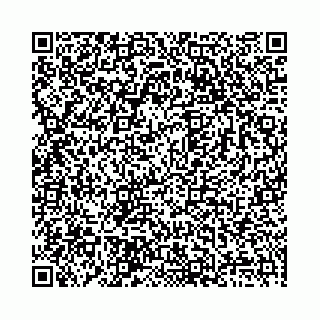 vCard 78136333319