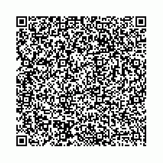 vCard 78136333321