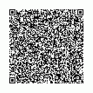 vCard 78136333331