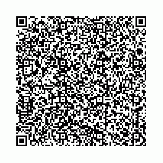 vCard 78136333337