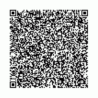 vCard 78136333341