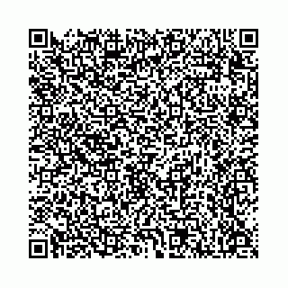 vCard 78136333348