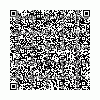 vCard 78136333353