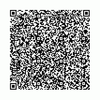 vCard 78136333357
