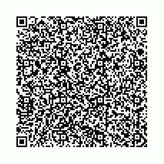 vCard 78136333358