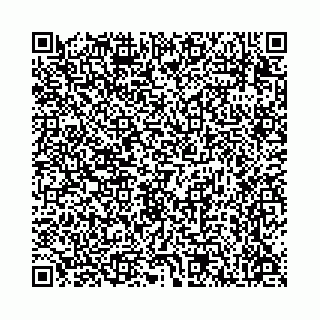 vCard 78136333359