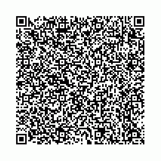 vCard 78136333363
