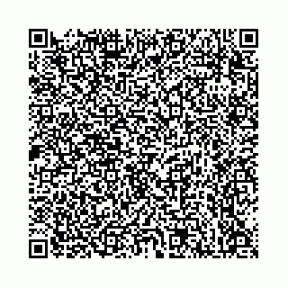 vCard 78136333369