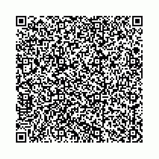 vCard 78136333370