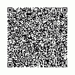 vCard 78136333371