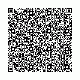 vCard 78136333374