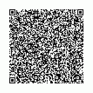 vCard 78136333377