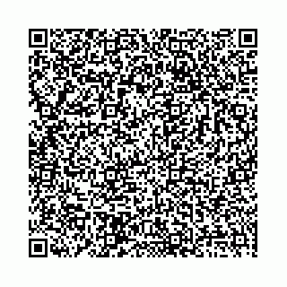 vCard 78136333378