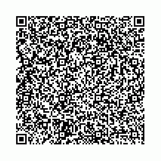 vCard 78136333379