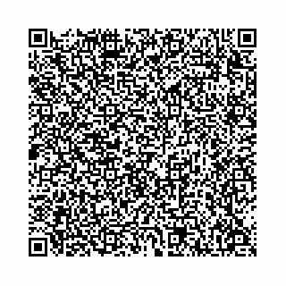vCard 78136333380