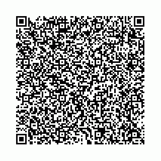 vCard 78136333381