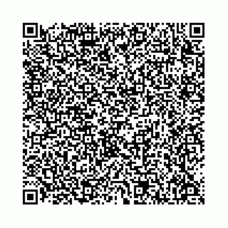 vCard 78136333382