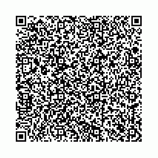 vCard 78136333383