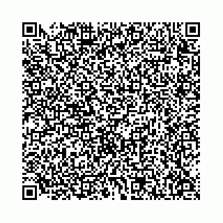 vCard 78136333384