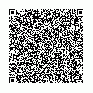 vCard 78136333385