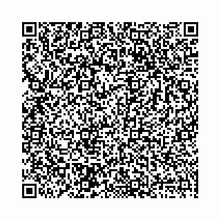 vCard 78136333386