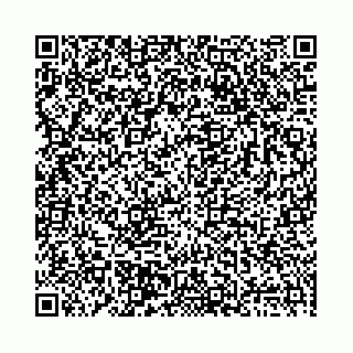 vCard 78136333387
