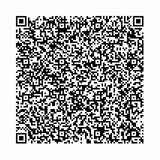 vCard 78136333388
