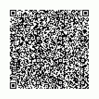 vCard 78136333389