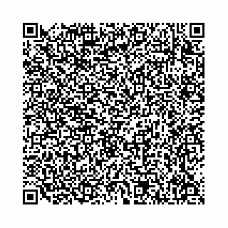 vCard 78136333393