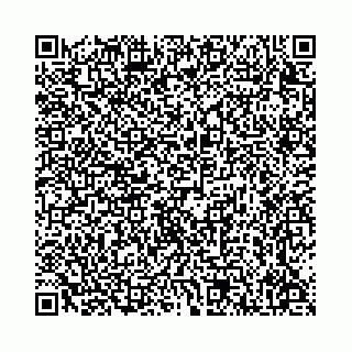 vCard 78136333395