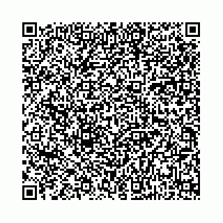 vCard 78136333397