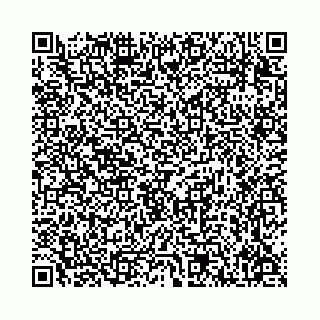 vCard 78136333399