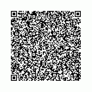 vCard 78136333839