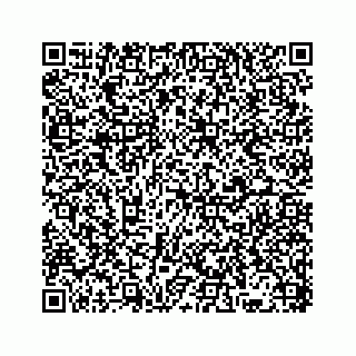 vCard 78136334080