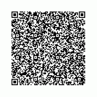 vCard 78136334272