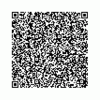 vCard 78136340300