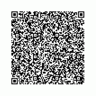 vCard 78136380133