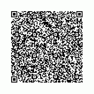 vCard 78136380199
