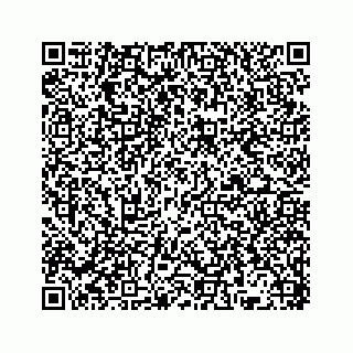 vCard 78136382001