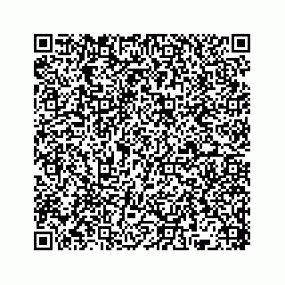 vCard 78136382002