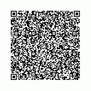 vCard 78136382003