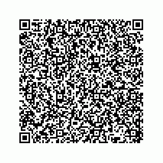 vCard 78136382005