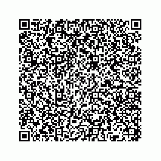 vCard 78136382007