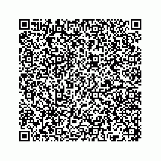 vCard 78136382008